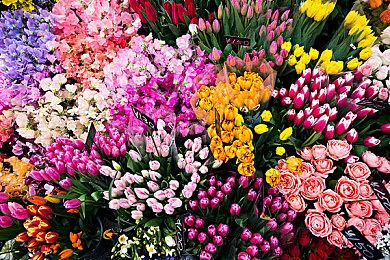 小岛秀夫确认参加BW 2025 7月12日特别舞台活动！